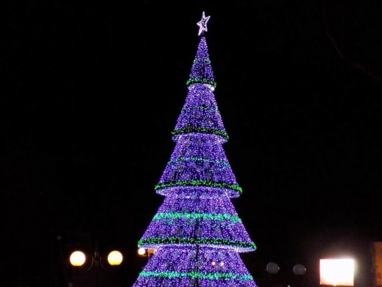 На 7 декември палят коледните светлини на градската елха в Крумовград