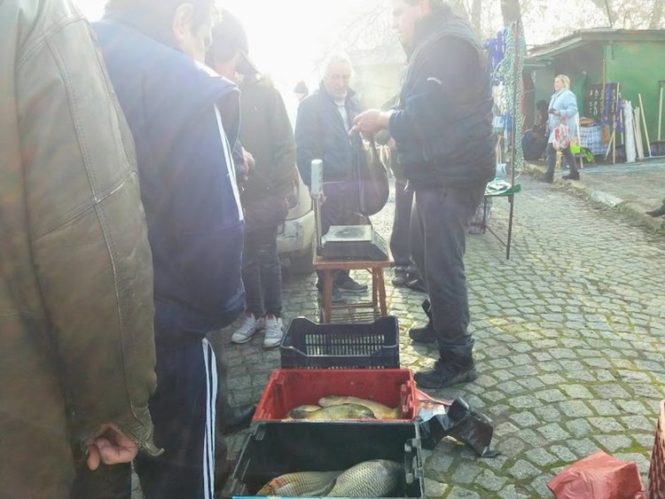 С 50 ст. се е повишила цената на шарана за една година