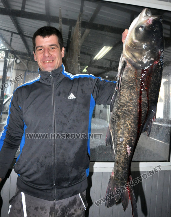 Търговските обекти в Хасковско – чисти с продажбата на риба