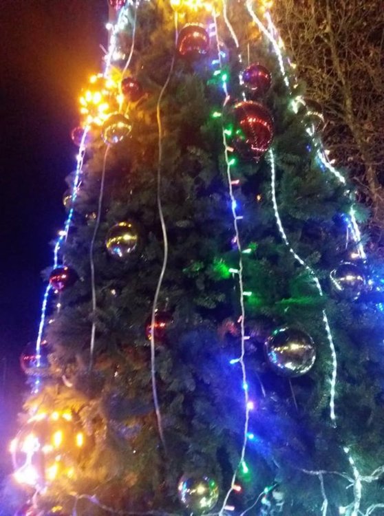 Дядо Коледа пристигна в Смолян с електромобил