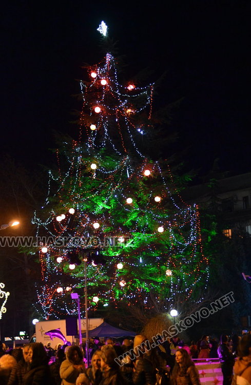 Дядо Коледа запали в Димитровград най-голямата жива елха в Европа