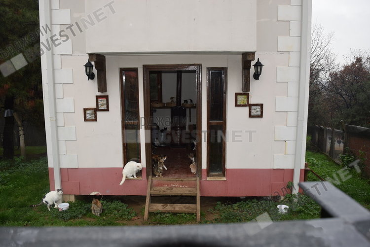 Къщичка за котки в Бурса