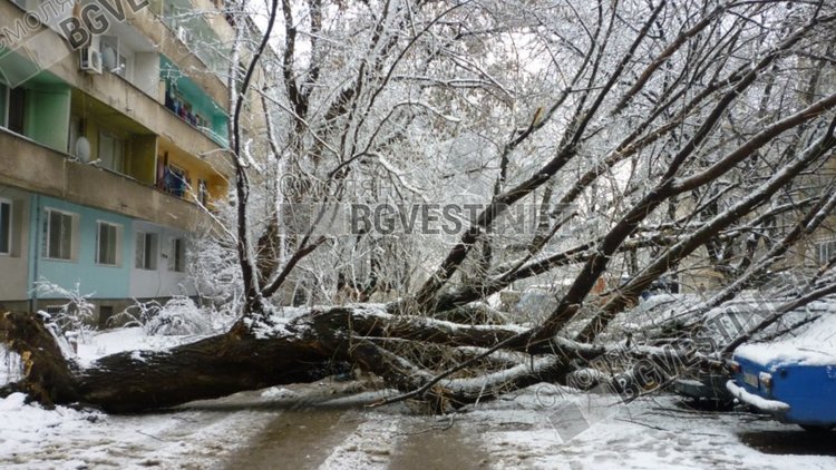 снимката е илюстративна