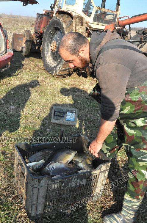 Хасковски шаран слагат на трапезата в Първомай, от язовира до масата рибокът скача с 2 лева за кило