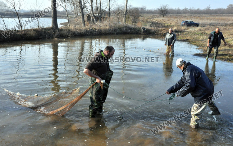 Хасковски шаран слагат на трапезата в Първомай, от язовира до масата рибокът скача с 2 лева за кило