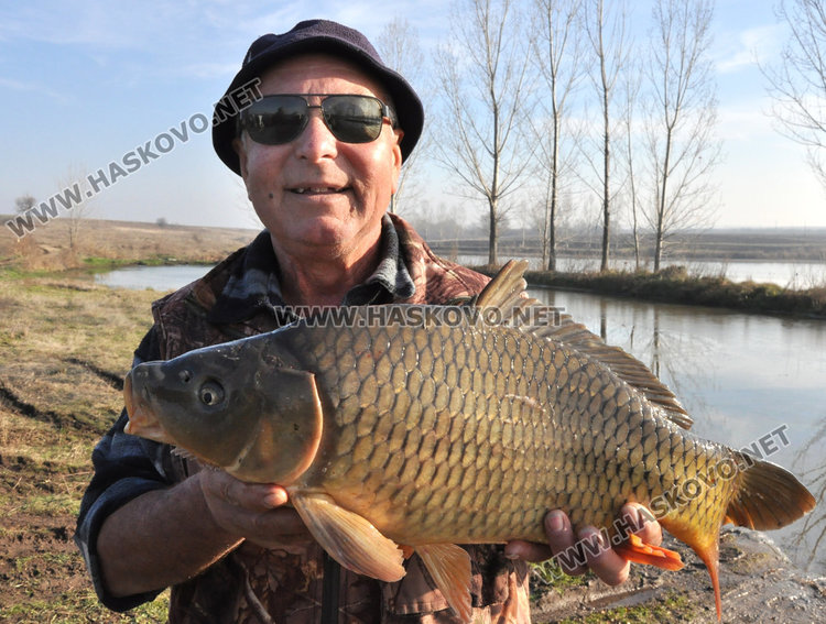 Хасковски шаран слагат на трапезата в Първомай, от язовира до масата рибокът скача с 2 лева за кило