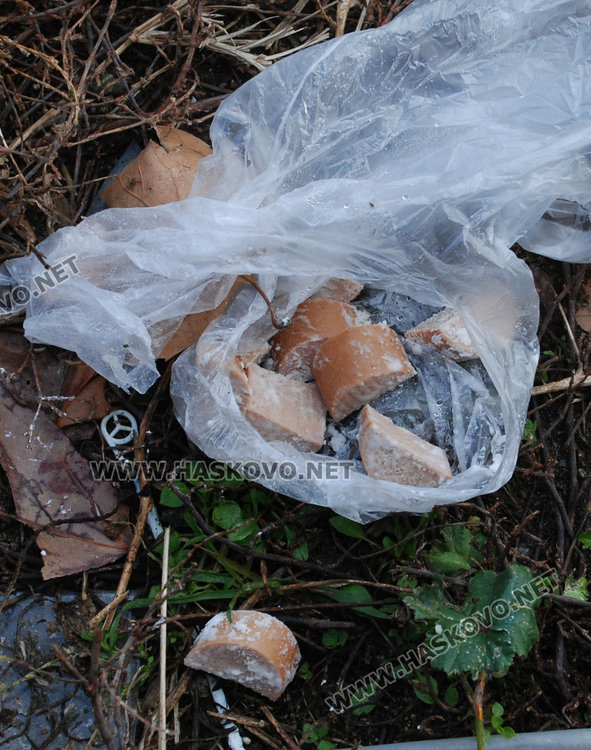 Хасковлии: Злодеи редовно тровят кучета на бул. „Васил Левски“