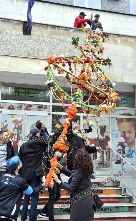 Най-голямата сурвачка в България краси Хасково
