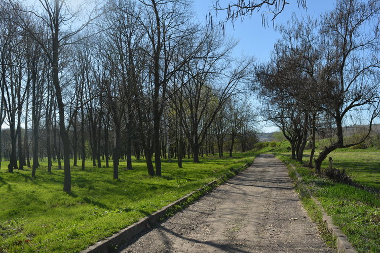 Реставрират Гърбавия мост в Харманли с 382 хиляди евро