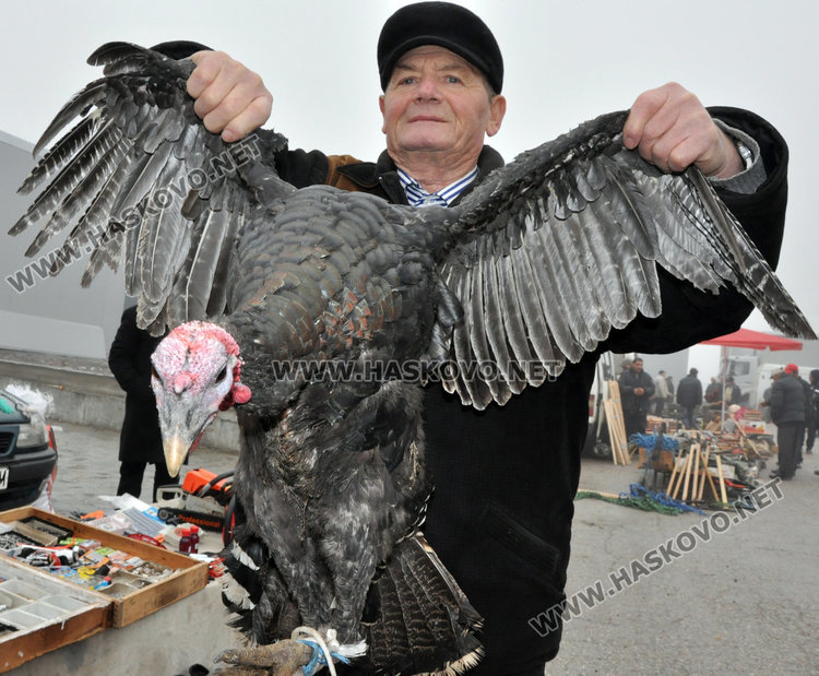 Пуйките за Коледа най-търсени на животинския пазар в Хасково днес 