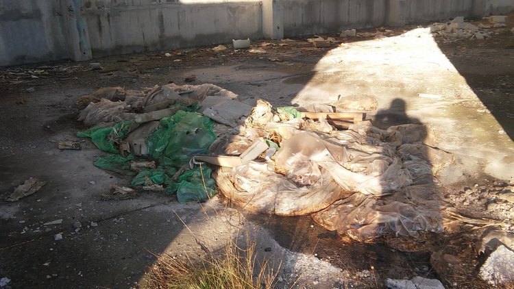 Читател: животински кости в бившия ТЕЦ сеят зарази