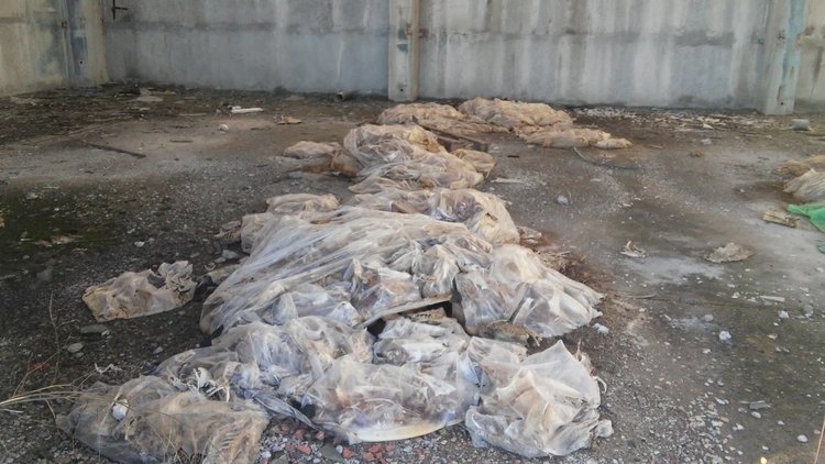 Читател: животински кости в бившия ТЕЦ сеят зарази