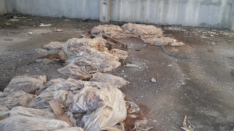 Читател: животински кости в бившия ТЕЦ сеят зарази