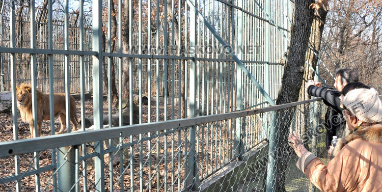 Хубавото време изкара хасковлии на Кенана