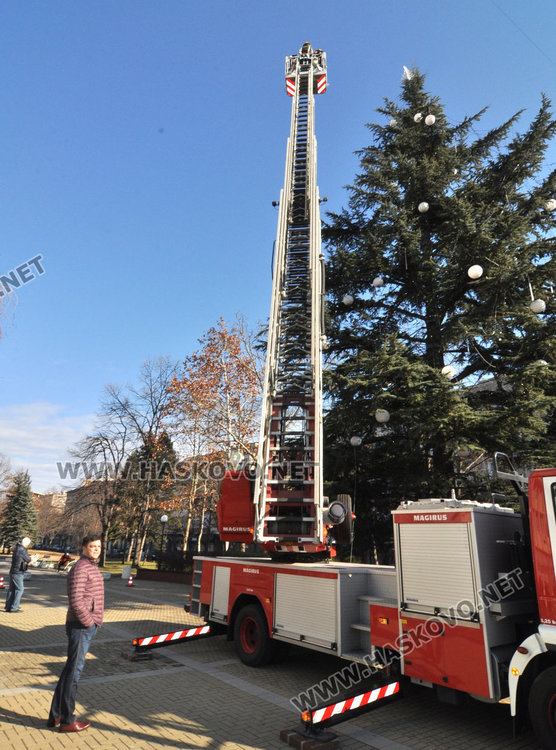 Измериха димитровградската Коледна елха, като най-високата в страната