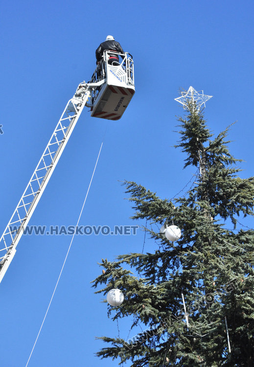 Измериха димитровградската Коледна елха, като най-високата в страната