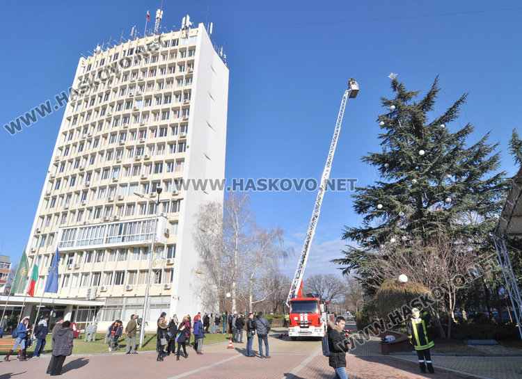 Измериха димитровградската Коледна елха, като най-високата в страната