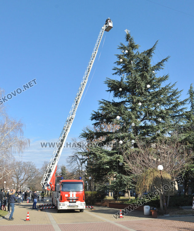 Измериха димитровградската Коледна елха, като най-високата в страната