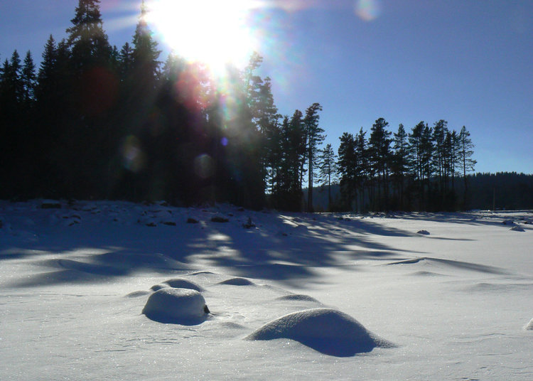 Състезателите на „Компас” с 5-дневен лагер по ски ориентиране