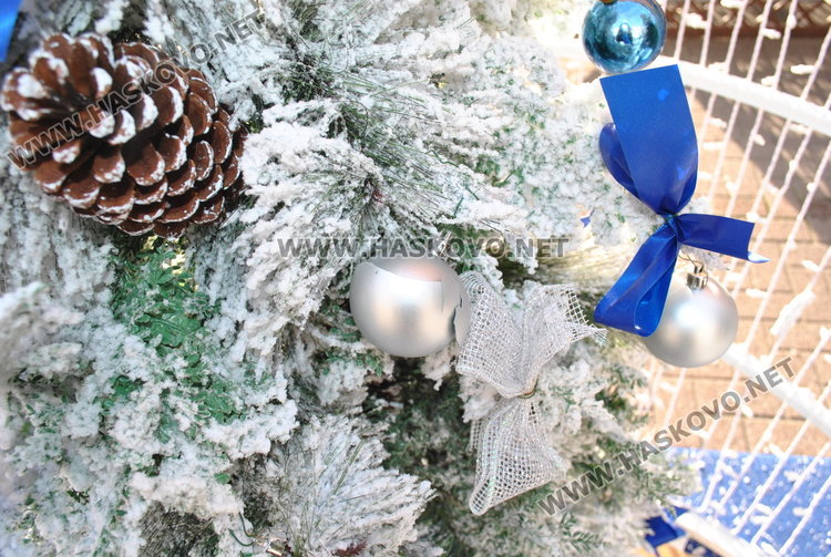 Вандали трошат празнична украса, палят контейнери 