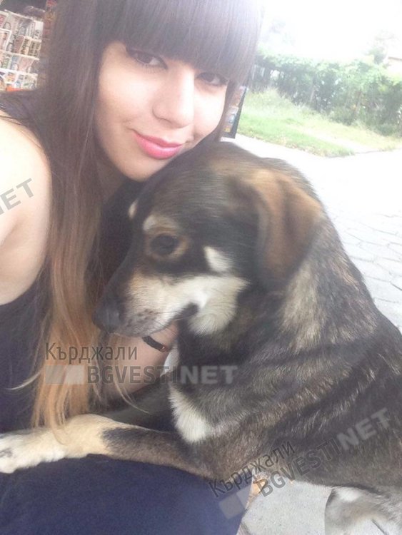 Няма случаи на ранени животни от пиратките по празниците