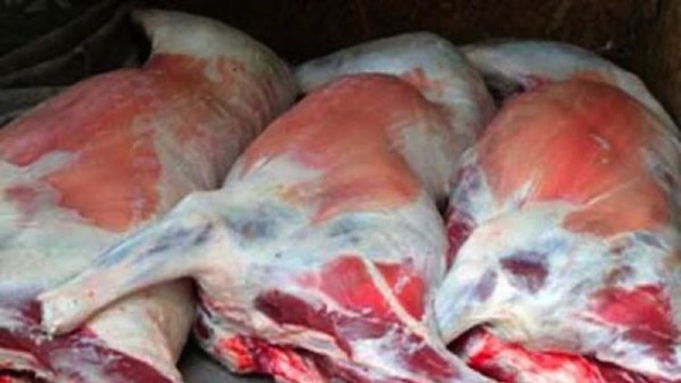 Заловиха превозвач на месо без документи насред Кърджали