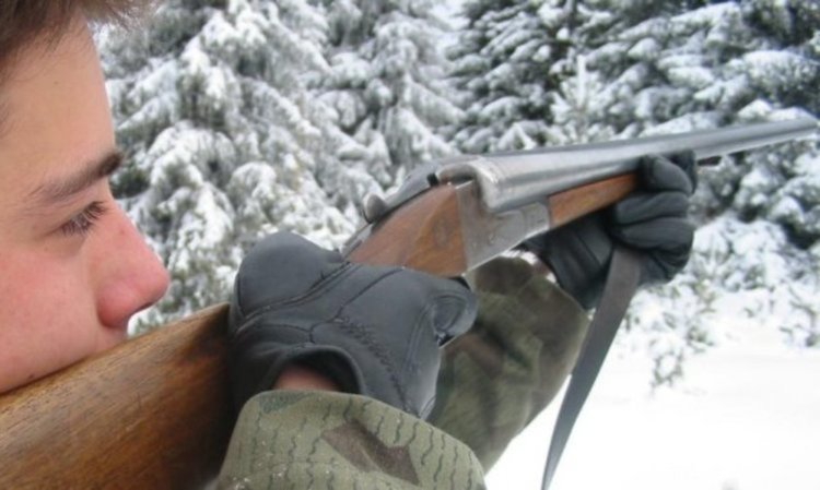 Хасковлия с трихинелоза, ял  пържоли от Кърджалийско диво прасе