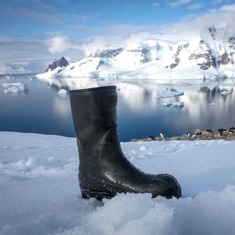 Ясно, но студено време в неделя