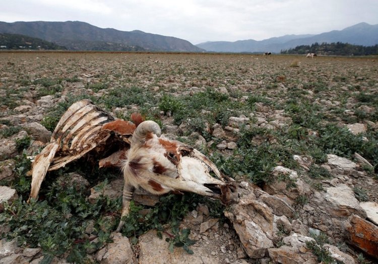 Лагуна в Чили пресъхна за първи път от 2 хиляди години