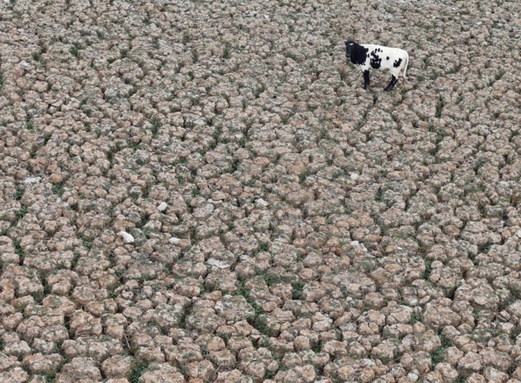 Лагуна в Чили пресъхна за първи път от 2 хиляди години
