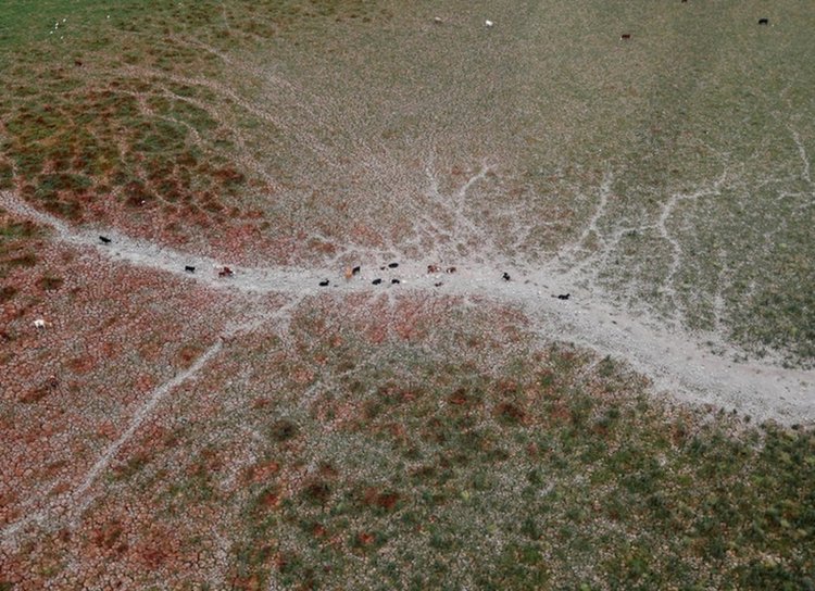 Лагуна в Чили пресъхна за първи път от 2 хиляди години