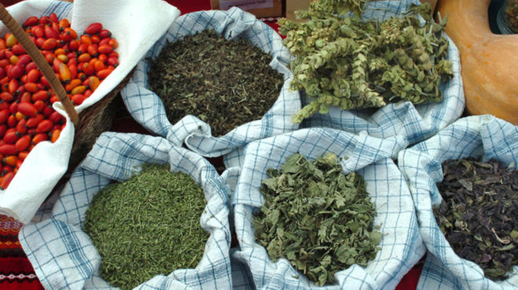 Крайният срок за отчитане на дейността на билкозаготвителните пунктове е до 20 януари