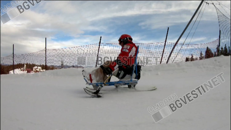 Деветгодишното момченце успя да осъществи мечтта си да се спуска по белит еписти благодарение на ски училището на смолянчанина Стефан Масурски, което единствено разполга със специализирани шейни