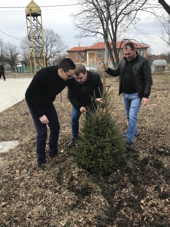 Младежи поставиха нови книги в къщичка и посадиха коледно дърво
