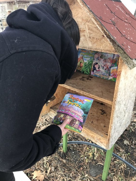 Младежи поставиха нови книги в къщичка и посадиха коледно дърво