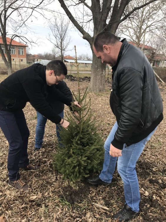 Младежи поставиха нови книги в къщичка и посадиха коледно дърво