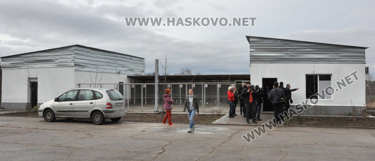 Кучешкият приют ще приема до 10 животни, обявиха телефон за сигнали