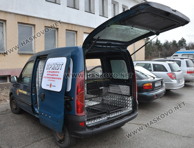 Кучешкият приют ще приема до 10 животни, обявиха телефон за сигнали