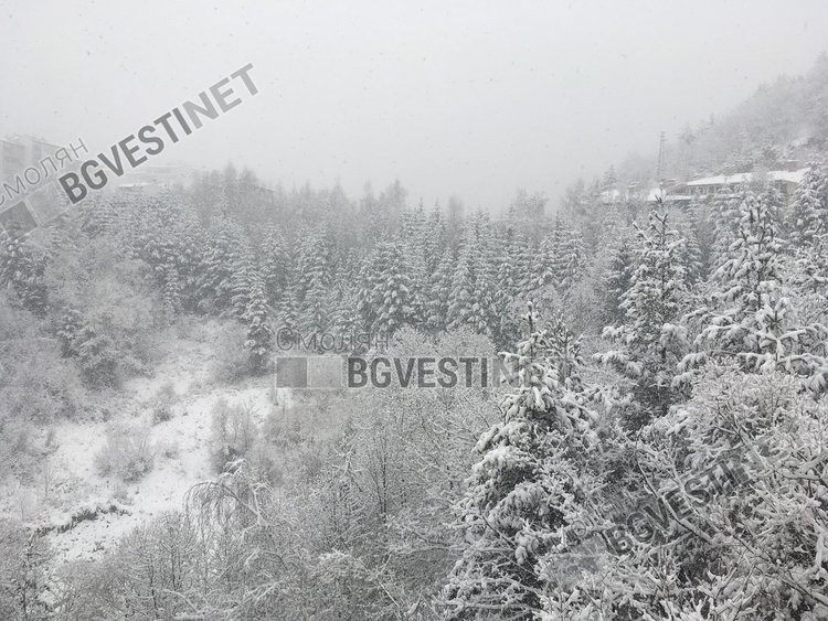 Предупредителен оранжев код заради обилни валежи днес и утре в Смолянско