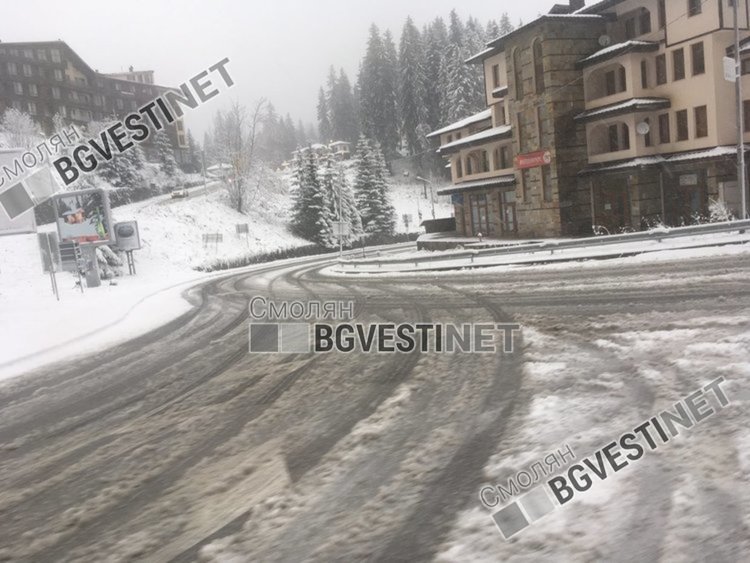 снимката е архив