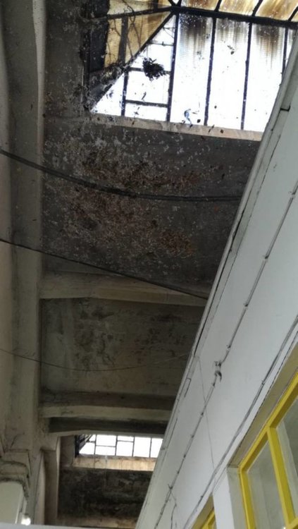 Това е столичната митница отвътре - по-точно таванът над един от коридорите. Мрежата е обсипана с курешки и явно е сложена, за да не падат директно върху главите на минаващите отдолу.