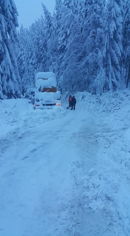 Над 60 аварийни екипа на Електроразпределение Юг работят за възстановяване на електрозахранването 