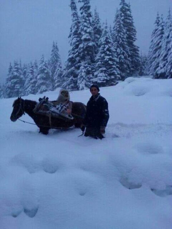 Смолянско още бедства, стотици четвърти ден без ток... ама нали са свикнали!