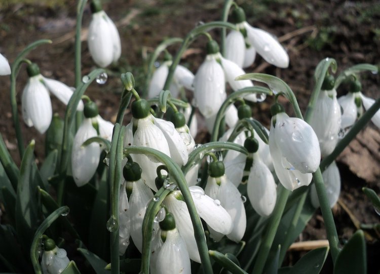 Затопляне в началото на седмицата
