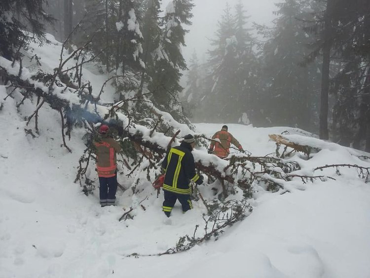 Множество паднали дървета отново отстраняваха пожарникарите