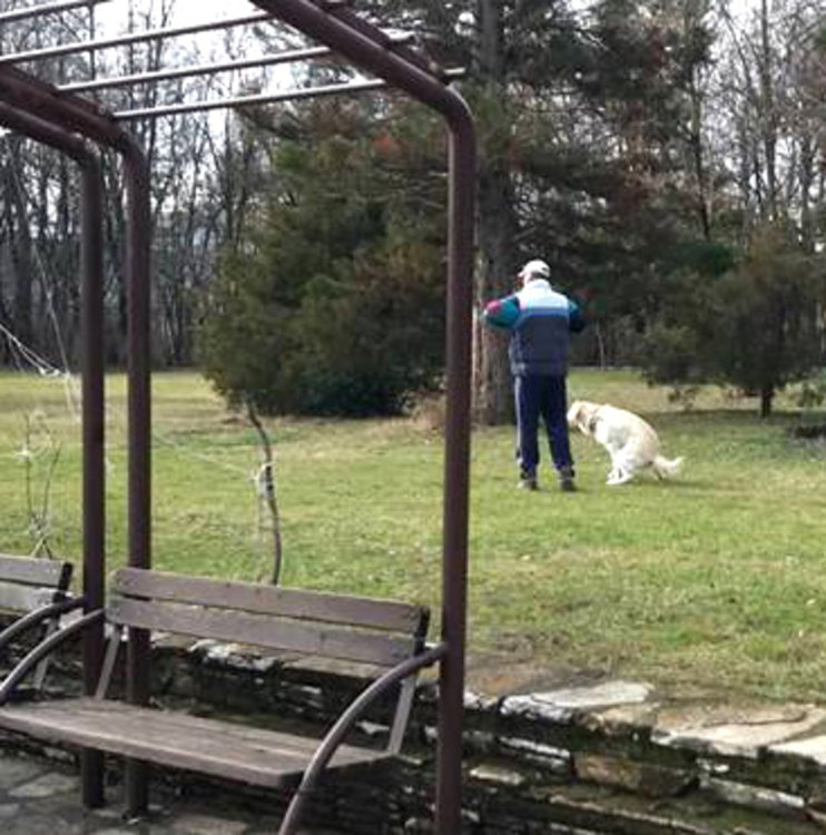 Хасковлийка: кучета се облекчават край детска площадка в Кенана