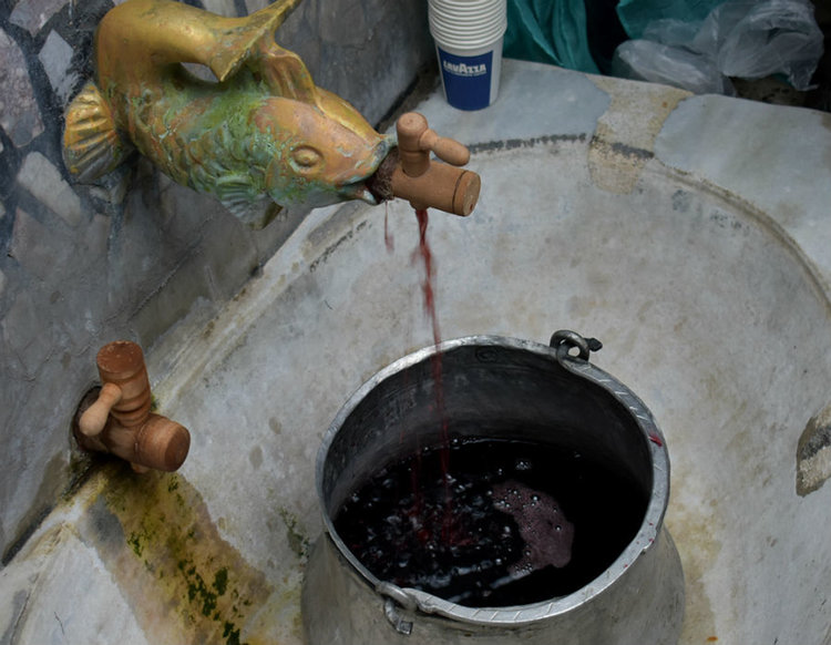 Кръстю Делимитков е с най-доброто домашно вино, Златко Кадийски - майстор на сармичките