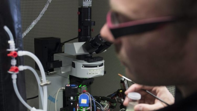 Бизнесът в Смолян иска включване на специалности полимери и мебелно производство в професионалното обучение