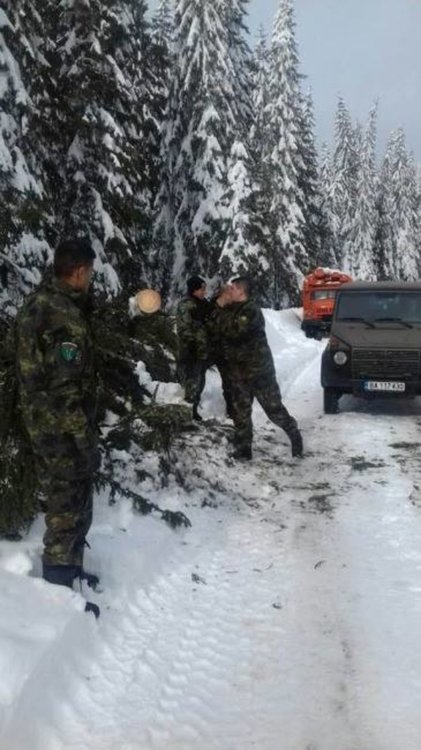 Военният министър предлага да се наградят спасителите от 101 Алпийски полк в Смолян 