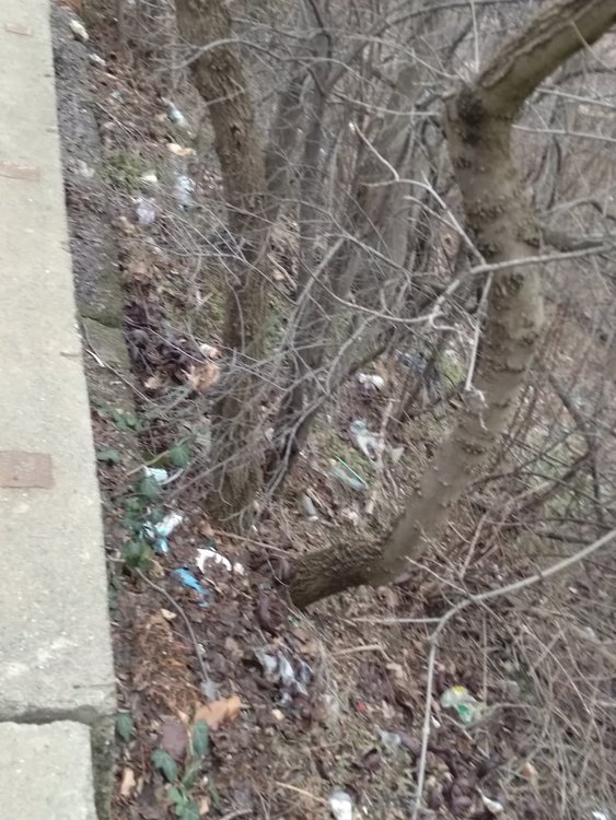 Хасковлия: Под монумента Света Богородица се образува сметище